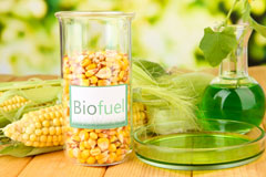 Downside biofuel availability